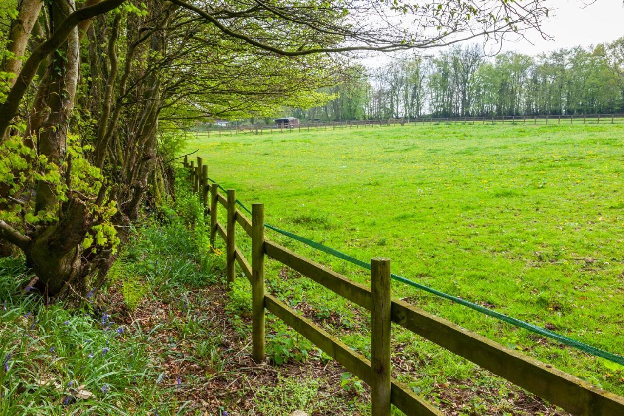 Southcott Farm Cottage Honiton Εξωτερικό φωτογραφία