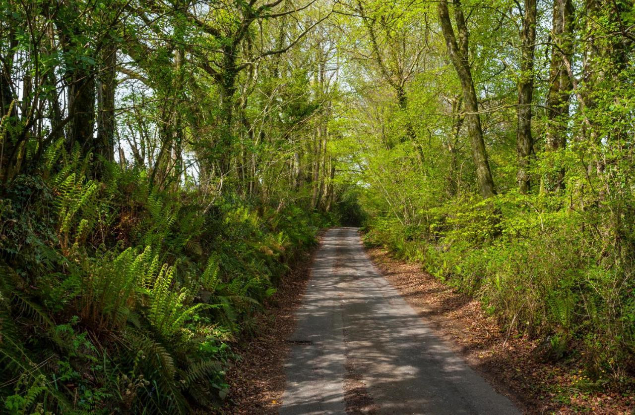 Southcott Farm Cottage Honiton Εξωτερικό φωτογραφία